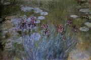 Claude Monet Irises and Water Lillies oil painting picture wholesale